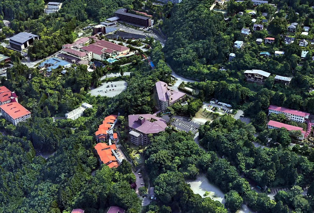 Hakone Forest Of Verde